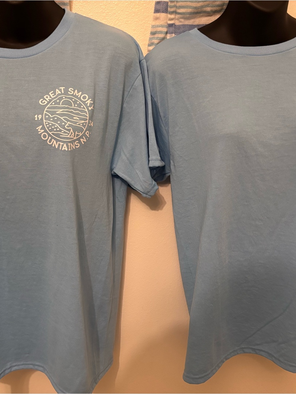 Great Smoky Mountains National Park Graphic Tee Medium Blue Jerzees Soft Poly